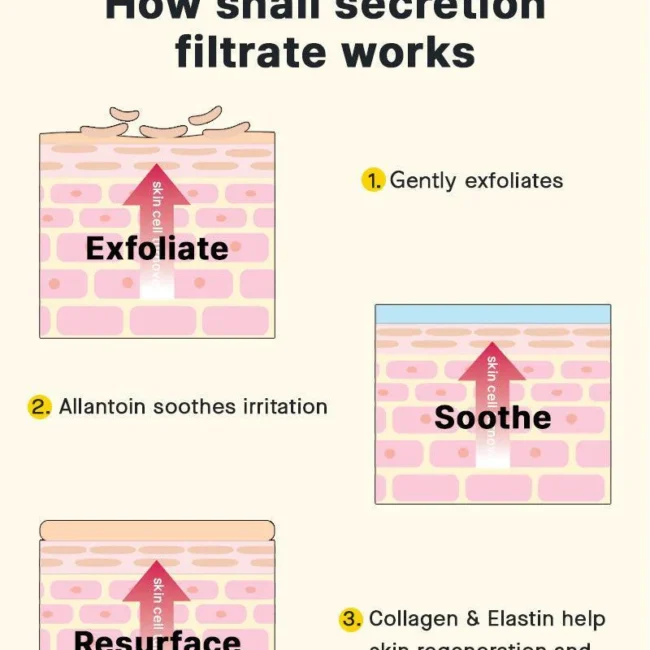 advanced-snail-92-all-in-one-cream-cosrx-official-2_1080x (1)